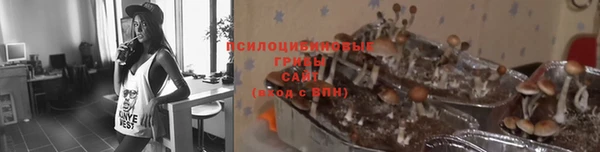 соль курить ск Гусев