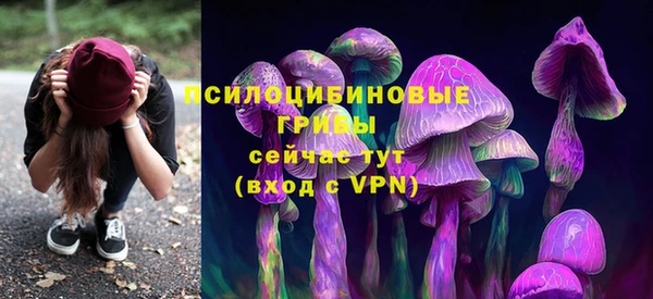 бутират Гусь-Хрустальный