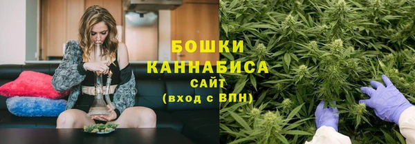 бутират Гусь-Хрустальный