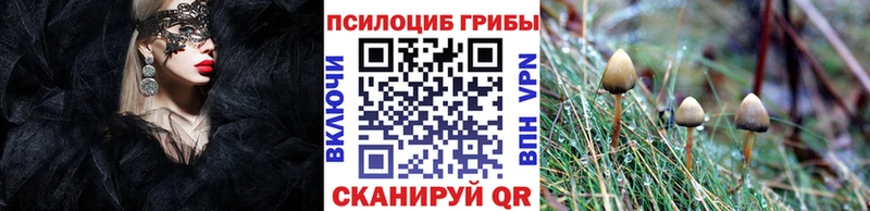 сколько стоит  Долинск  Галлюциногенные грибы прущие грибы 
